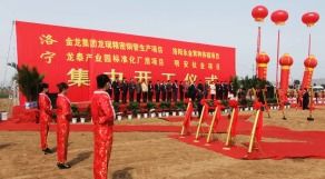 慶典活動(dòng)案例 (8)