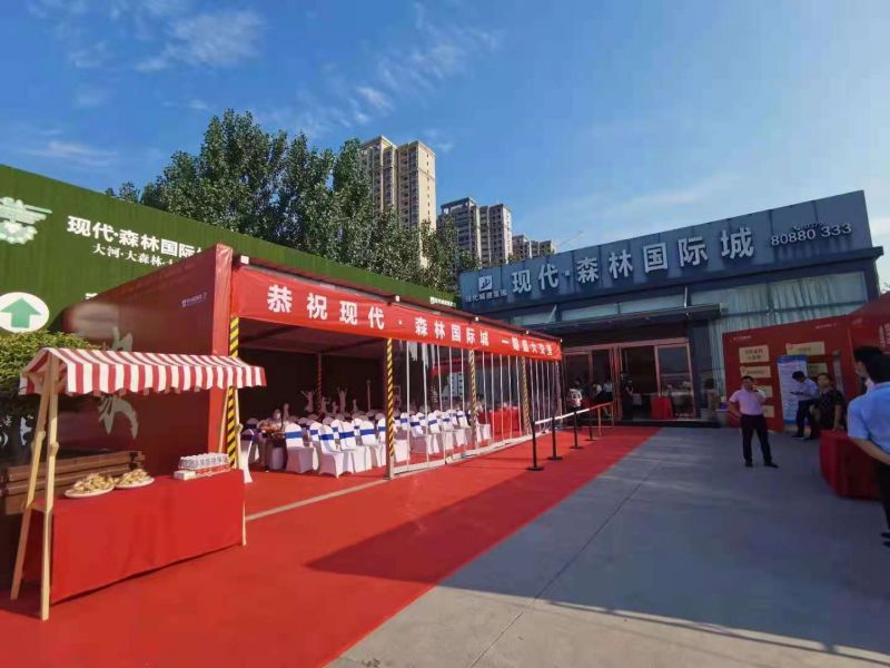 新安縣現(xiàn)代·森林國際城交房活動